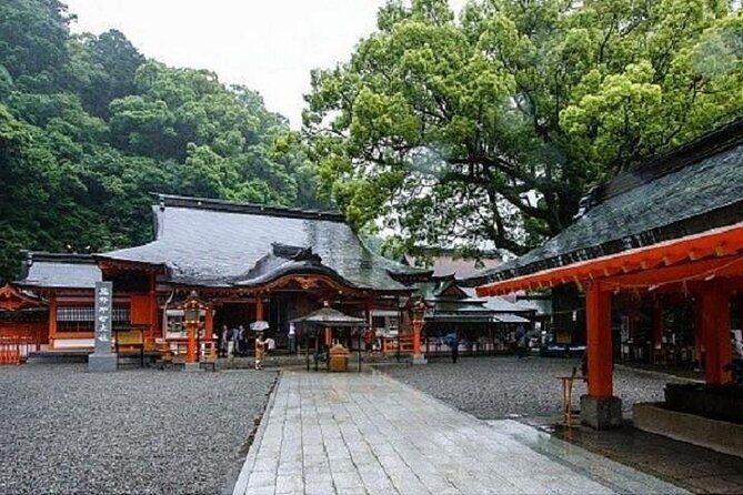 Kumano Kodo Half Day Daimonzaka and Nachi Taisha Tour - A Complete Look at the Kumano Kodo Half Day Tour