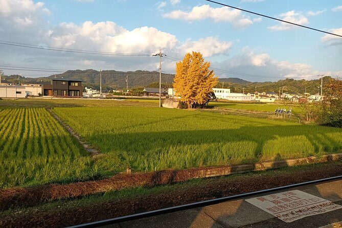 Kumano Kodo Kii-ji Walking Tour from Hoshiya Station - Final Thoughts