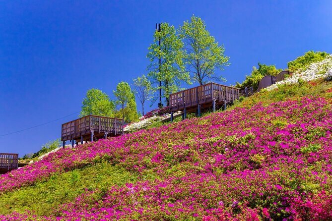 Kumano Kodo Kii-ji Walking Tour from Hoshiya Station - FAQs