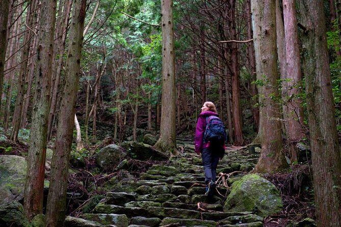 Kumano Kodo Pilgrimage Full-Day Private Trip with Government Licensed Guide - Experience the Sacred Trails of Kumano Kodo in Wakayama