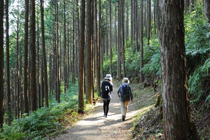 Kumano Kodo Pilgrimage Tour with Licensed Guide & Vehicle - Who Should Consider This Tour?