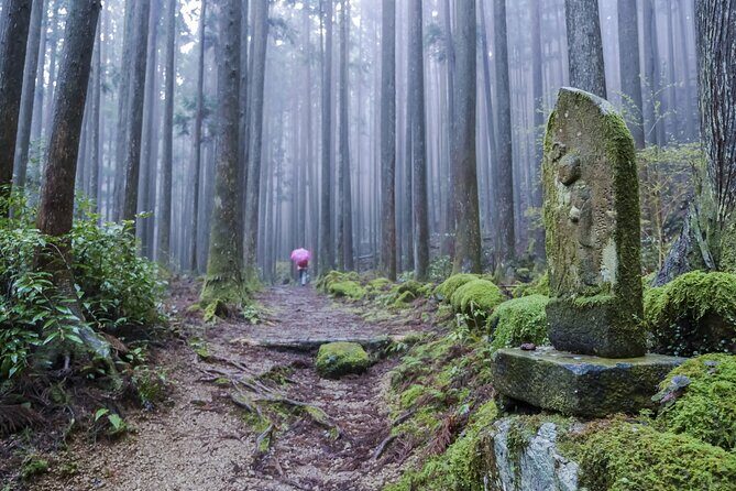 Kumano Kodo Pilgrimage Tour with Licensed Guide & Vehicle - In The Sum Up