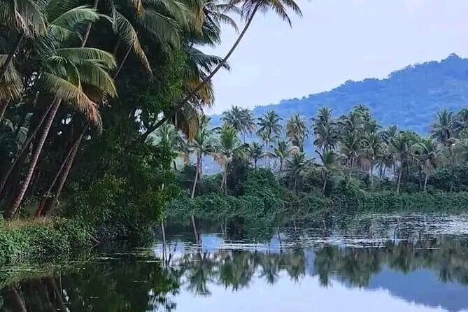 Kumarakom Explore Backwaters & Birds at Coconut Lagoon Pick&Drop - Key Points