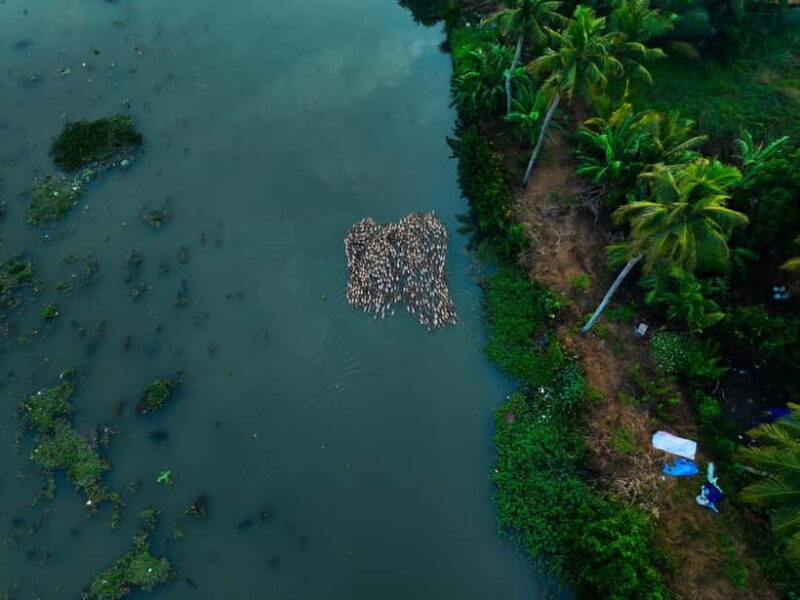 Kumarakom: Sunset Cruise with Village Life and Local Food - FAQs