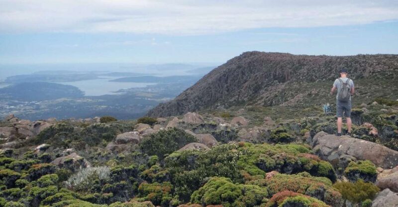 Kunanyi & Mt Wellington Explorer Bus: One-Way Bus Pass - Experience the Heights of Tasmania with the Kunanyi & Mt Wellington Explorer Bus: One-Way Bus Pass