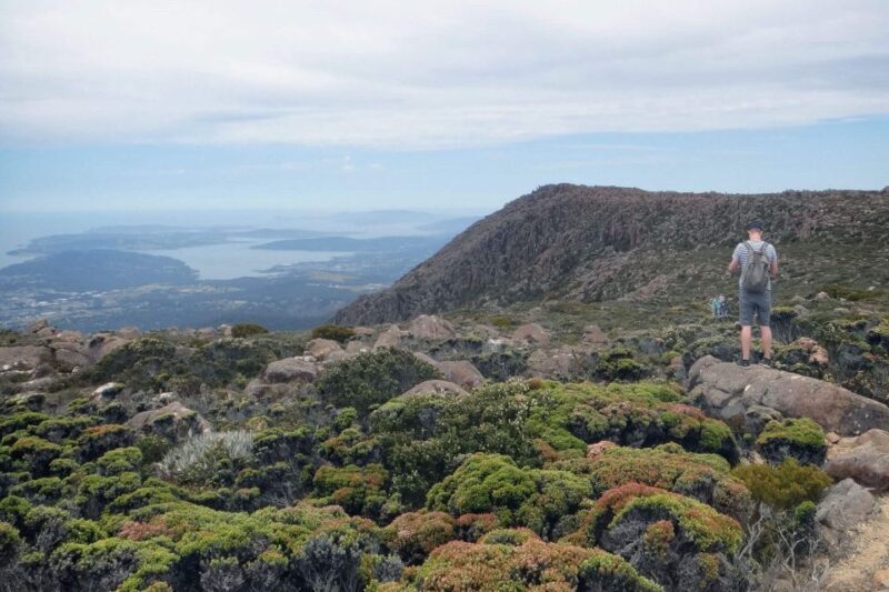 Kunanyi & Mt Wellington Explorer Bus: One-Way Bus Pass - Key Points