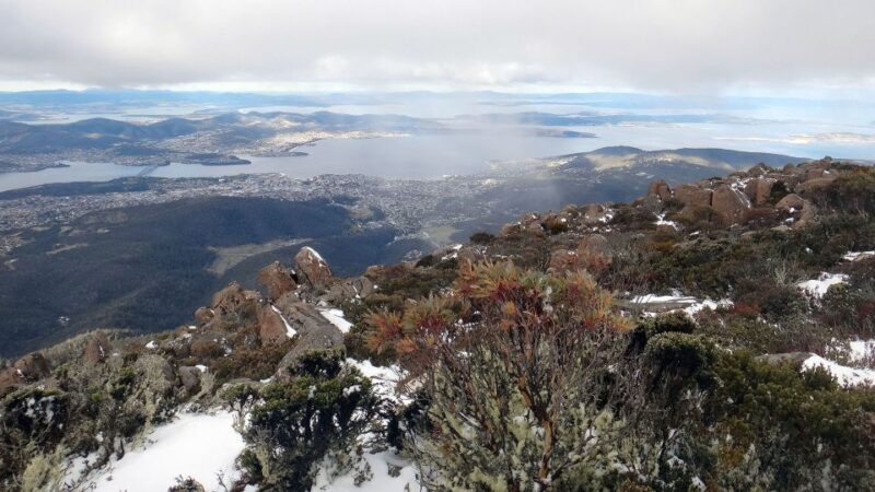 Kunanyi & Mt Wellington Explorer Bus: One-Way Bus Pass - Final Thoughts
