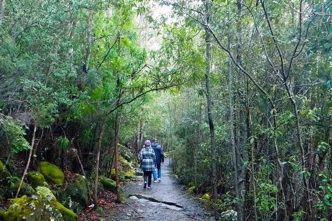kunanyi/Mt Wellington Explorer Bus - One Way Tour - Exploring Tasmania’s Iconic Mount Wellington with the Explorer Bus
