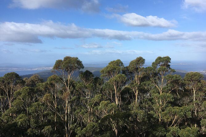 kunanyi/Mt Wellington Explorer Bus - One Way Tour - In-Depth Analysis of the Experience