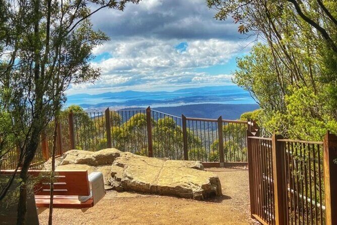 kunanyi/Mt Wellington Ultimate Experience Afternoon Tour - The Itinerary in Detail: What to Expect