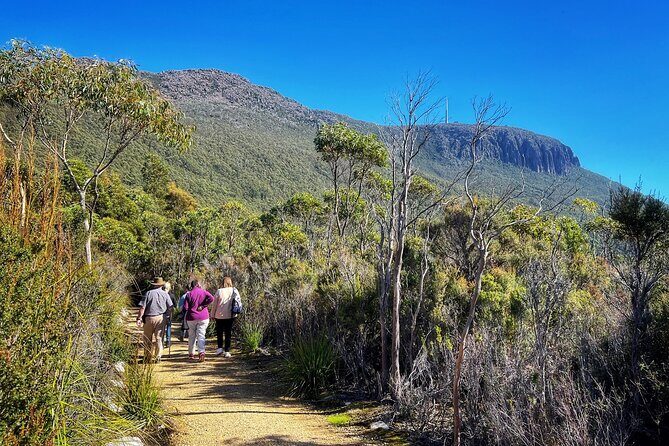 kunanyi/Mt Wellington Ultimate Experience Afternoon Tour - Practical Considerations and Tips