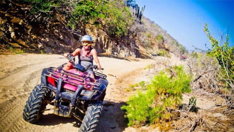 Kundasang : ATV Ride, Dairy Farm Visit & Meal Shared Tour - Who Will Love This Tour?
