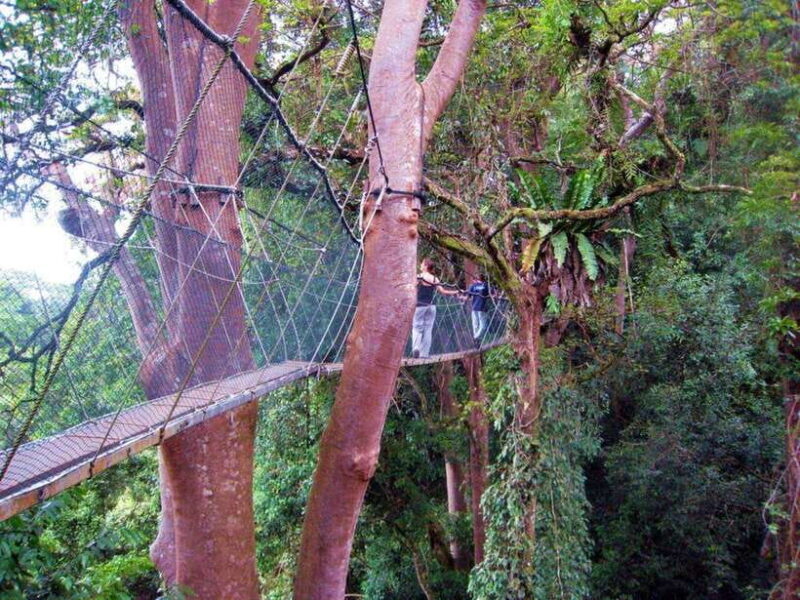 Kundasang : Poring Hot Spring + Desa & Meal Shared Tour - FAQ