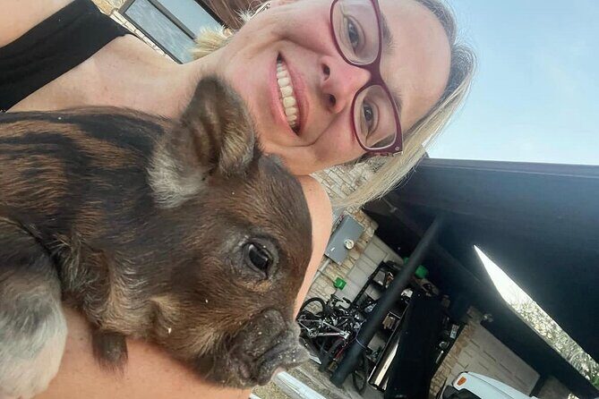 KuneKune Pig Farm Tour - Who Should Consider This Tour?