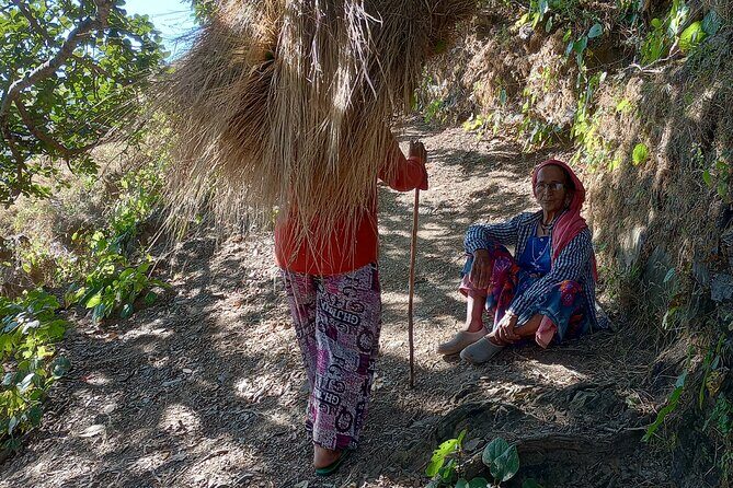 Kunjapuri Yoga Day Hike - Why This Tour Offers Great Value