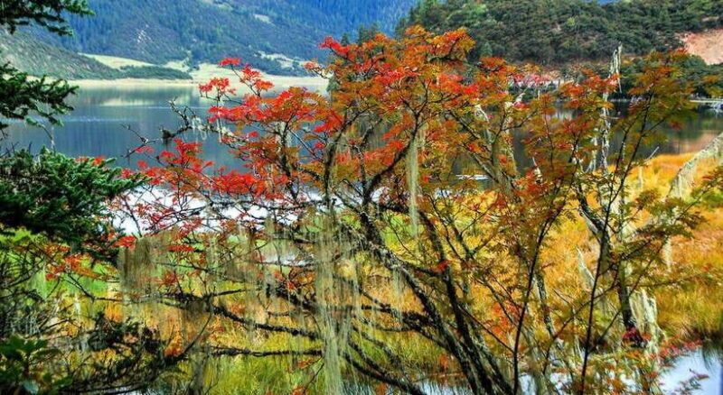 Kunming: 8-Day Yunnan Impression Tour - A Detailed Look at the 8-Day Yunnan Impression Tour