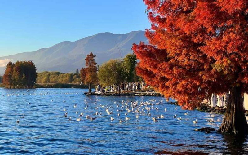 Kunming: 8-Day Yunnan Impression Tour - FAQ