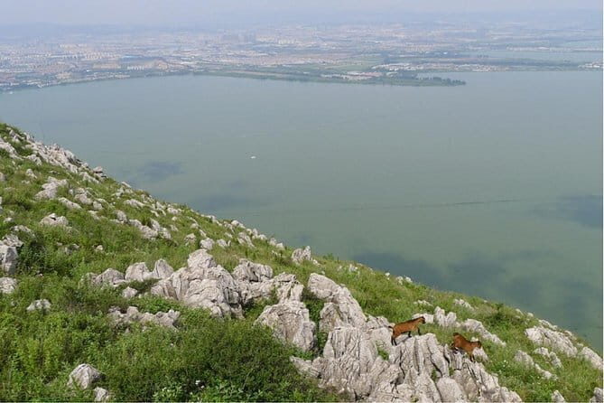 Kunming City Tour with Private Guide - Final Thoughts