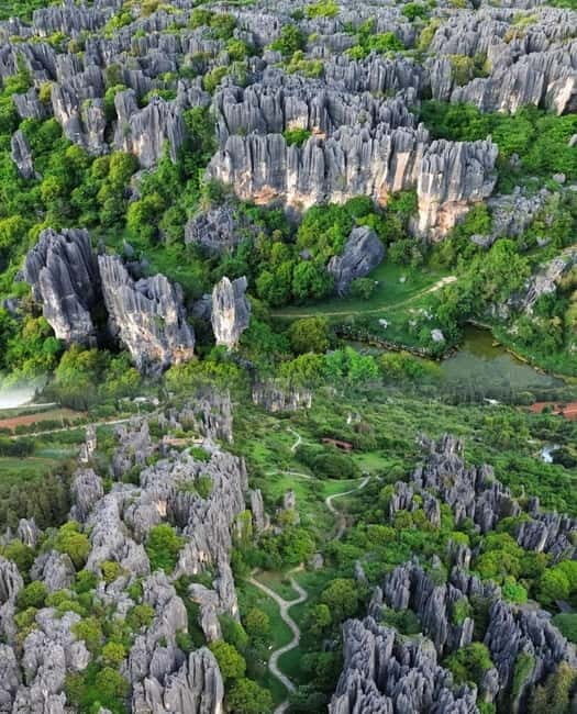 Kunming Day Tour: Stone Forest, Ethnic Park & Tie-Dye Craft - Key Points