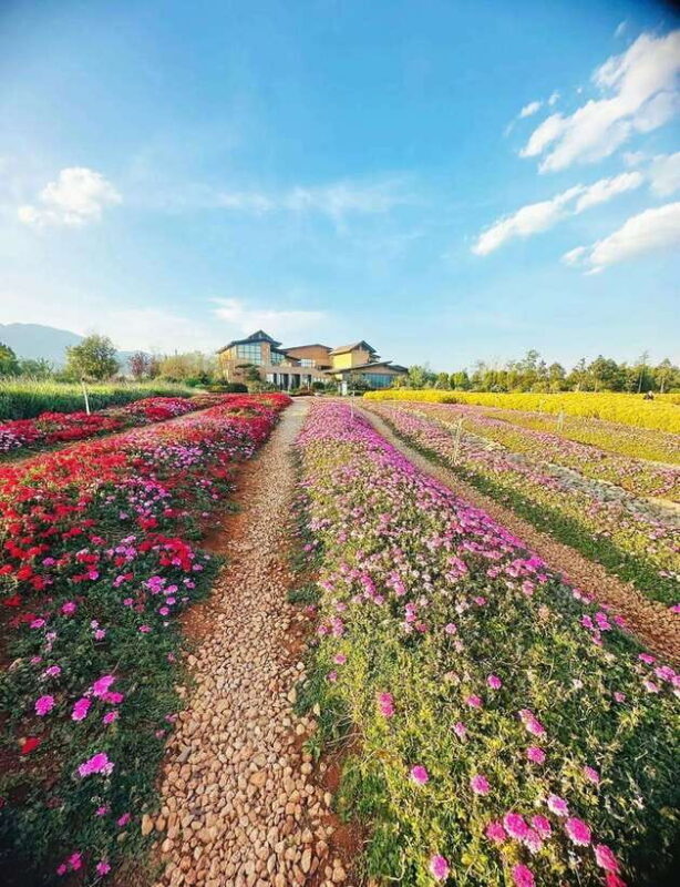 Kunming: Fuxian Lake Private Tour - The Sum Up: Who Will Love This Tour?