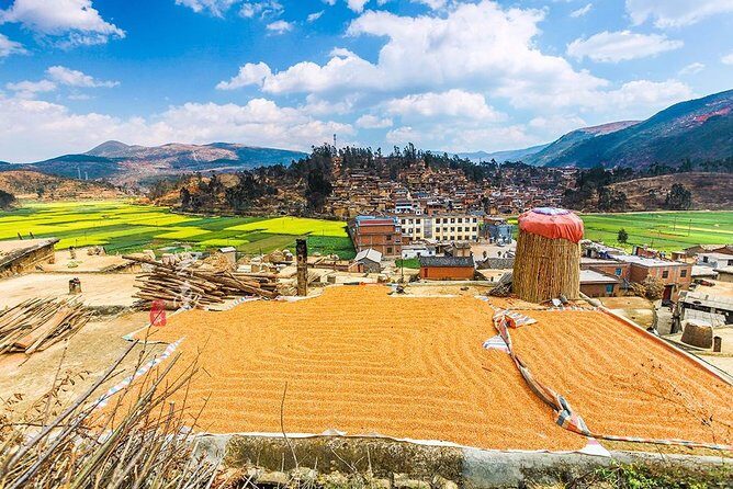 Kunming Private Day Tour to Stone Forest and Chengzi Ancient Town - Frequently Asked Questions