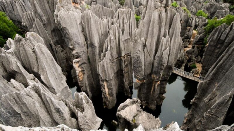 Kunming: Private Half Day Tour of Stone Forest Park w/Option - Key Points