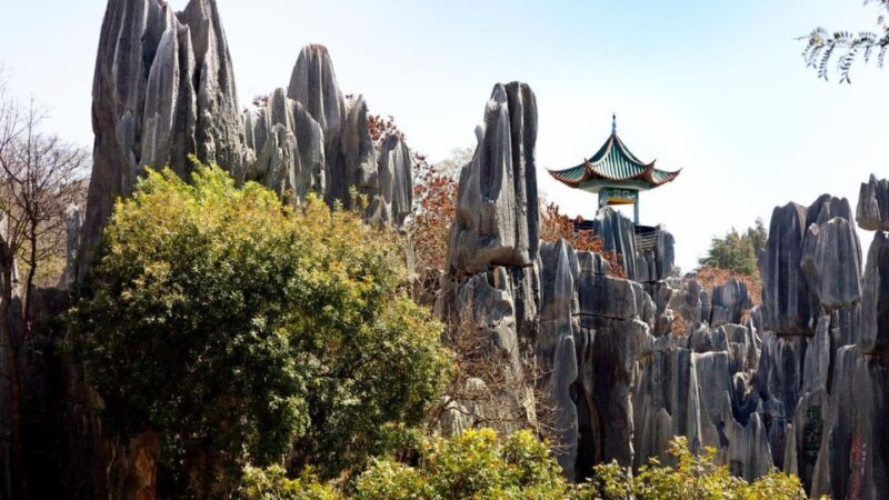 Kunming: Private Half Day Tour of Stone Forest Park w/Option - Price and Value