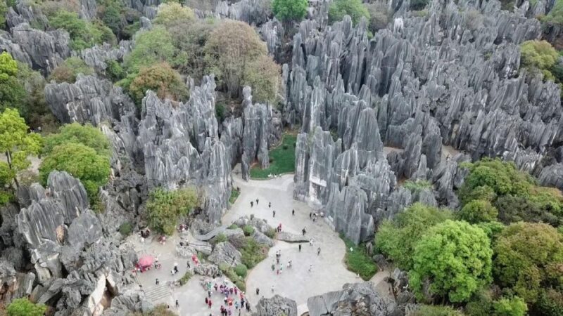 Kunming: Private Half Day Tour of Stone Forest Park w/Option - Who Is This Tour Best For?