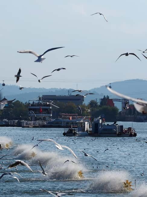 Kunming: Stone Forest and Dianchi Lake Day Trip with Lunch - The Stone Forest: A Natural Wonder