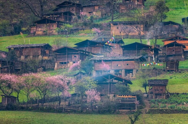 Kunming: Stone Forest & Chengzi Ancient Village Private Tour - The Value of This Tour