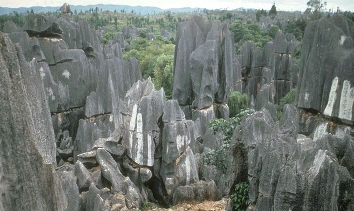 Kunming: Stone Forest Private Day Tour - Setting the Scene: Why Visit the Stone Forest?