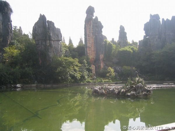 Kunming: Stone Forest Private Day Tour - Dining and Rest Breaks