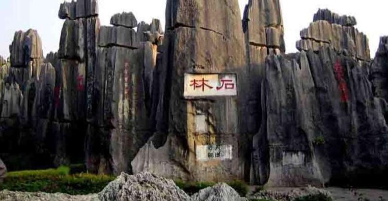 Kunming: Stone Forest Private Day Tour - Who Should Consider This Tour?