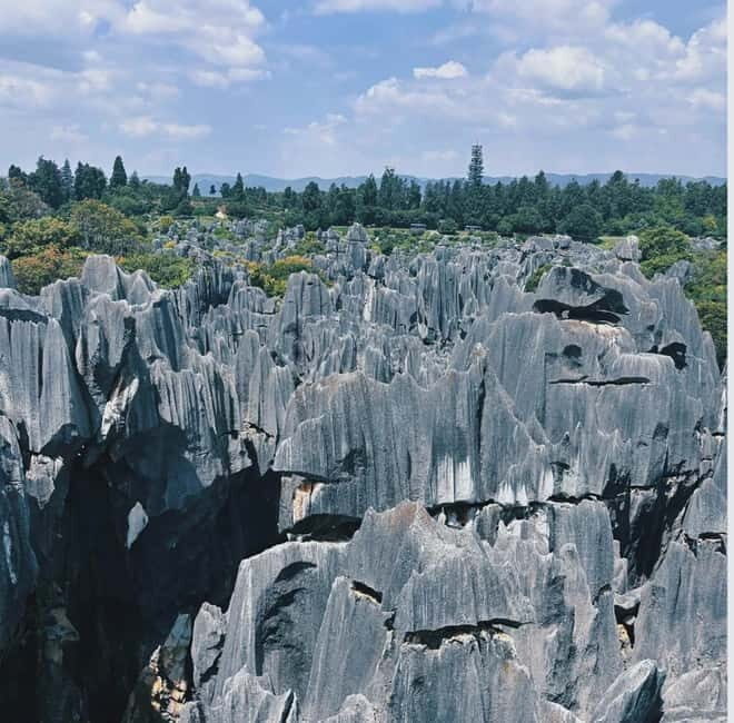 Kunming: Stone Forest, Roast Duck Lunch and City Tour - Who Should Consider This Tour?