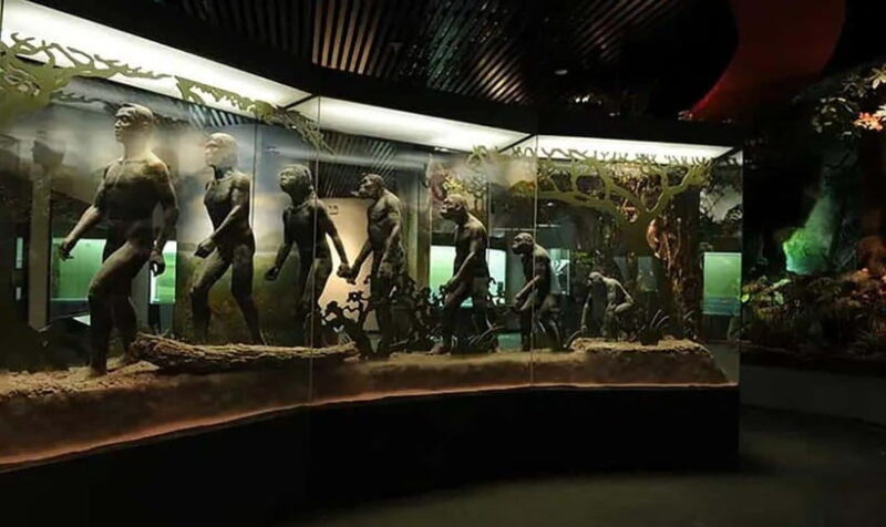 Kunming: Yunnan Provincial Museum & Dounan Flower Market - The Sum Up