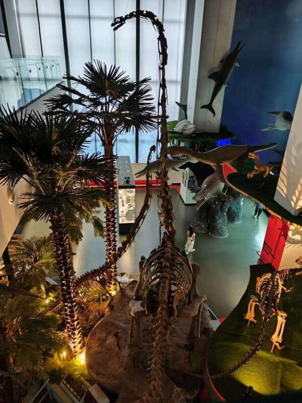 Kunming: Yunnan Provincial Museum Private Tour (Half Day) - Exploring the Yunnan Provincial Museum: A Half-Day Journey into the Past