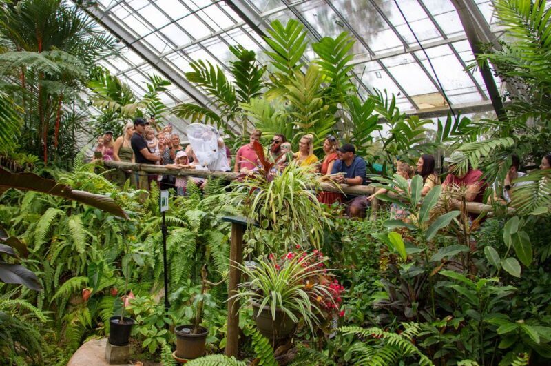 Kuranda: Australian Butterfly Sanctuary - FAQ