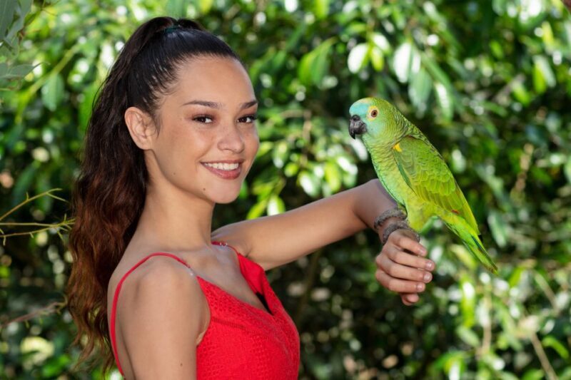 Kuranda: Birdworld Entry Ticket - An In-Depth Look at Birdworld Kuranda