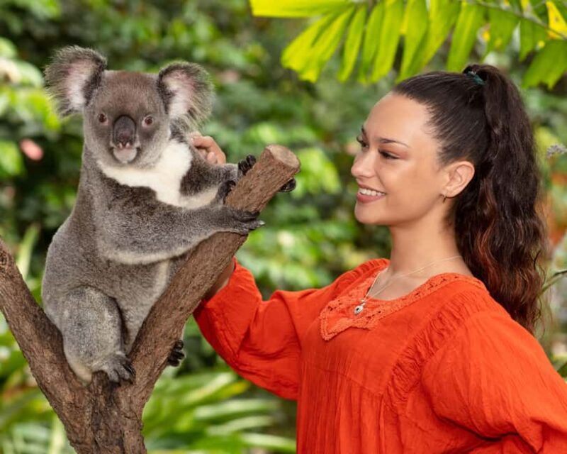 Kuranda by Design, a VIP package experience - Discover the Hidden Charm of Kuranda with the "Kuranda by Design" VIP Package