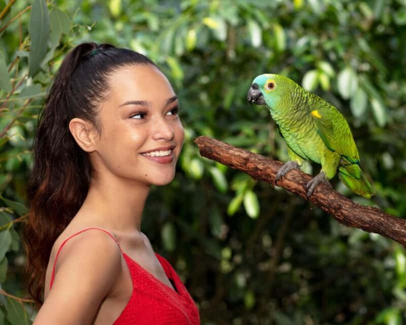 Kuranda by Design, a VIP package experience - Key Points