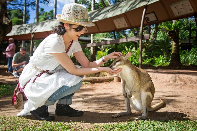 Kuranda Day Tour, TKS-RFS CLASSIC GOLD PLUS 0930 - FAQs