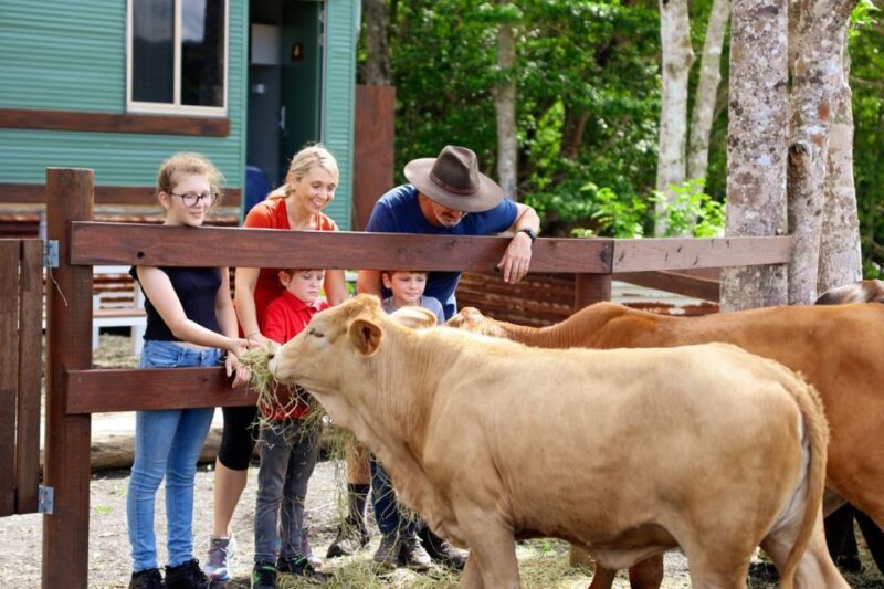 Kuranda Half Day with Petting Zoo & Horse Trail Ride Tour - A Closer Look at the Tour Experience