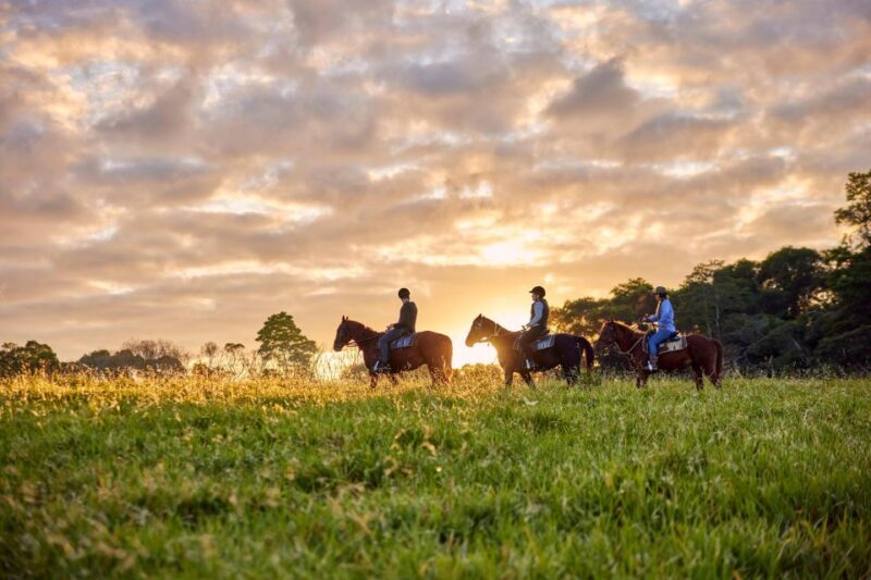 Kuranda Half Day with Petting Zoo & Horse Trail Ride Tour - Final Thoughts