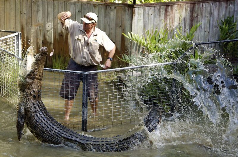 Kuranda & Hartley's Crocodile Adventures - Exploring the Components of the Tour
