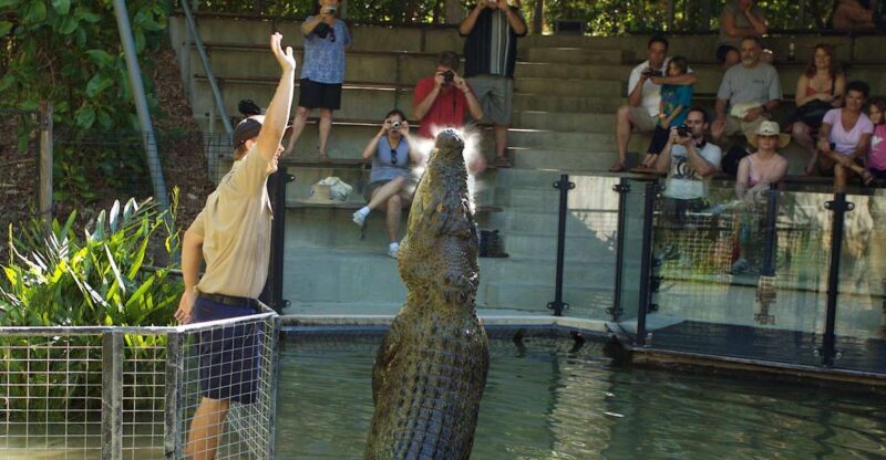 Kuranda & Hartley's Crocodile Adventures - Final Words: Is This Tour Right for You?