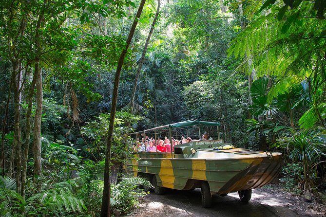 Kuranda Highlights including Rainforestation Aboriginal Culture and Wildlife R1B - Exploring Kurandas Rainforest, Wildlife, and Culture — A Practical Review