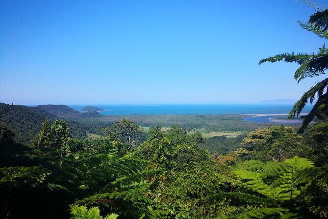 Kuranda Scenic Railway and Rainforest Station (Small Group) - Final Thoughts