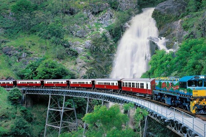 Kuranda Scenic Railway & Skyrail Tour from Port Douglas - Experience the Best of Queensland’s Rainforest with the Kuranda Scenic Railway & Skyrail Tour