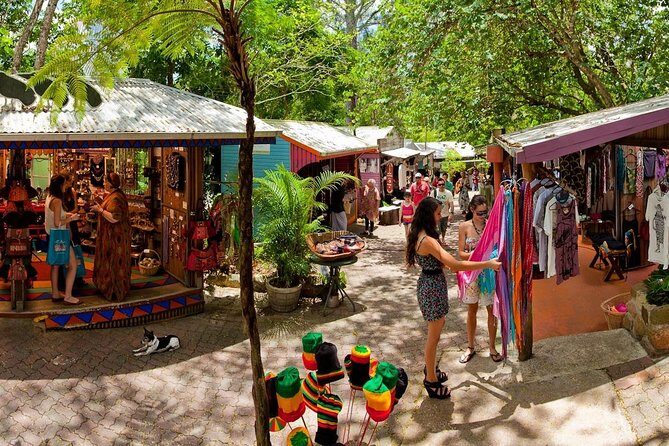 Kuranda Scenic Railway & Skyrail Tour from Port Douglas - The Sum Up: Who is This Tour Best For?