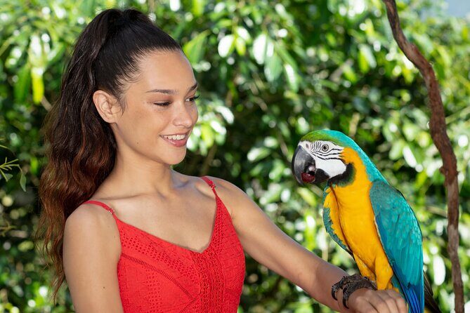 Kuranda Wildlife Experience Deluxe Multi Attraction Pass - Discover the Kuranda Wildlife Experience Deluxe Multi-Attraction Pass